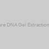 LumiPure DNA Gel Extraction Kit, 50
